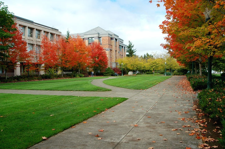 From Falling Leaves to Football: Facility Maintenance in Autumn