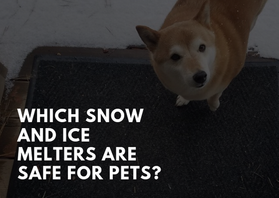 Which Snow and Ice Melters Are Safe for Pets?