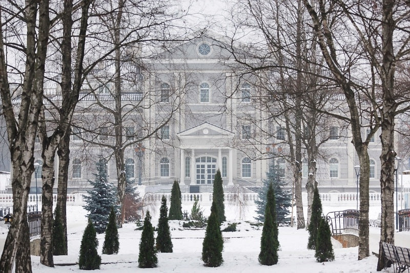 Tree and Landscaping Hazards Caused by Snow and Ice