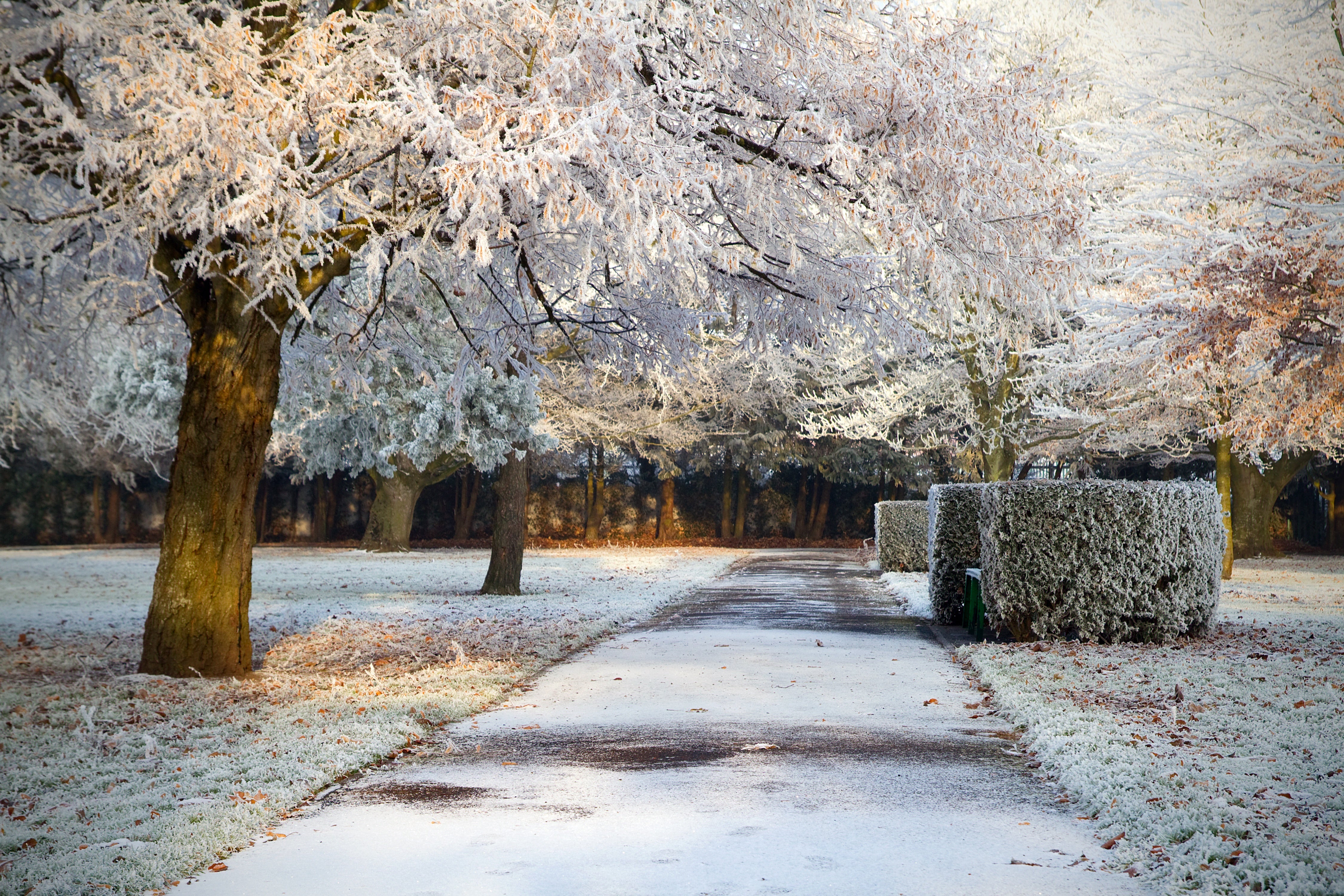 Skip Keeps His Library's Walkways Clear of Snow and Ice