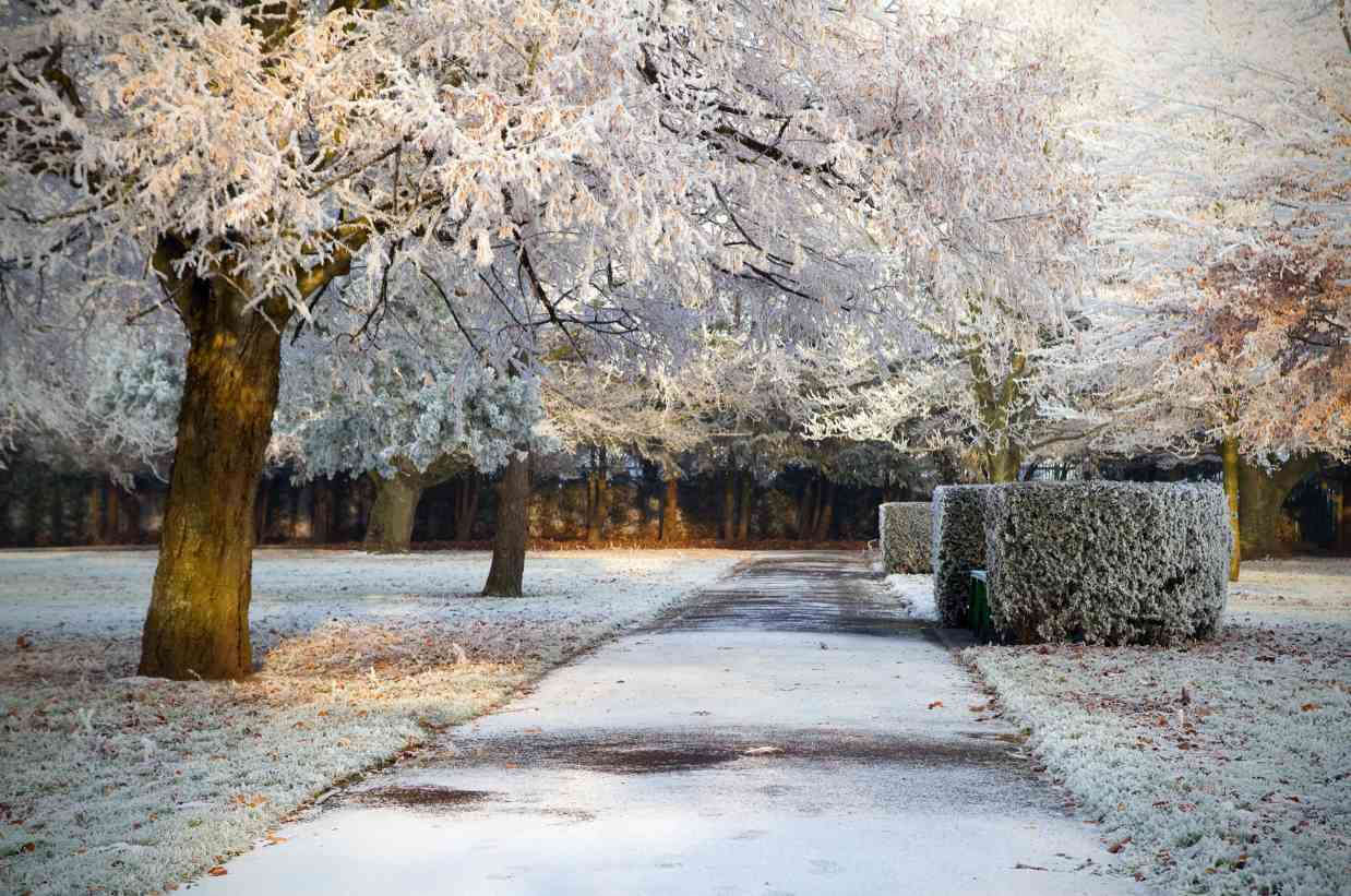 Preparing Your Facility’s Turf/Grounds for Cold Weather Conditions