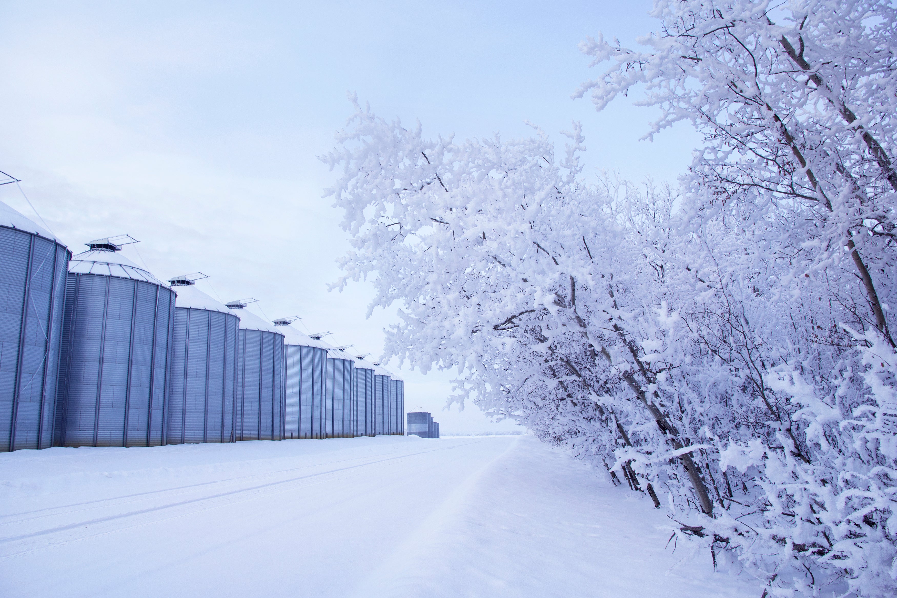 Snow blankets trees to the right and a commercial facility to the left