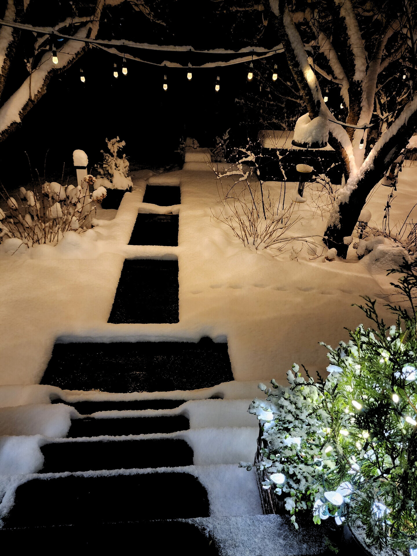 HeatTrak Photo Contest Entry - January Winner