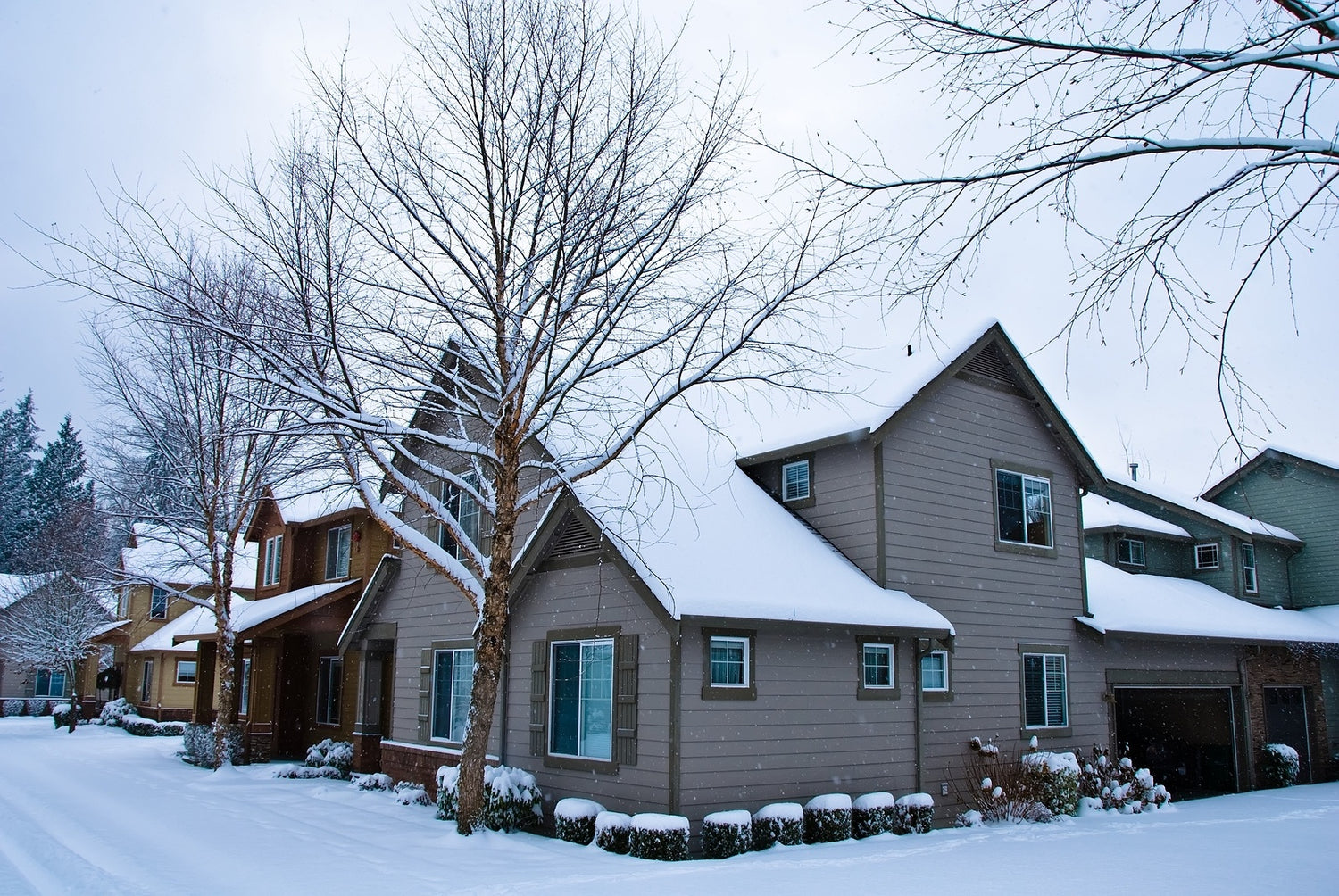 18 Ways to Save Electricity (or Go Green) this Winter Without Sacrificing Warmth
