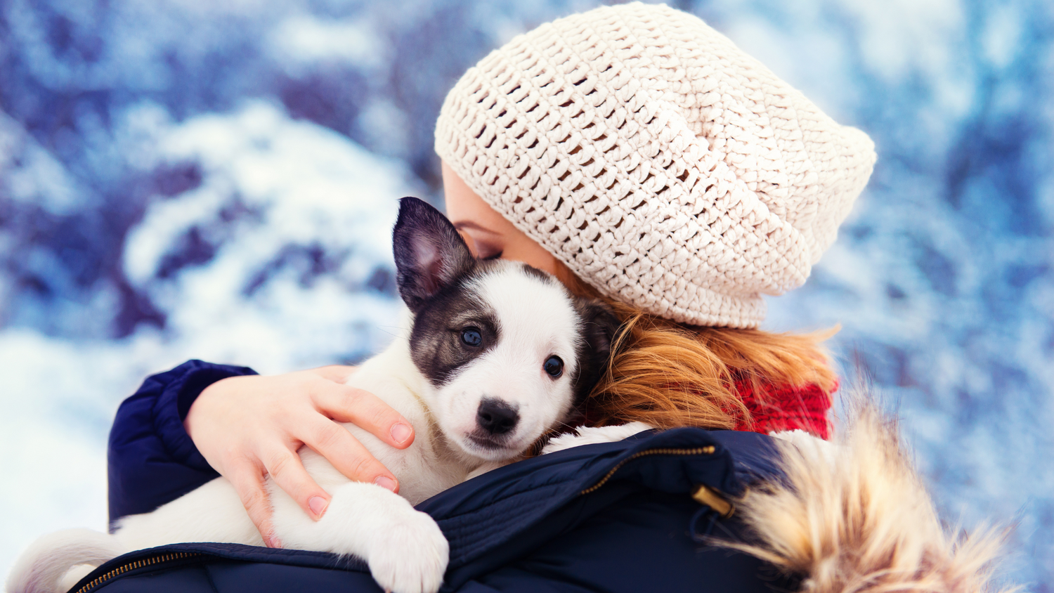 Pet-Friendly Snow Removal: What Options Are Out There?