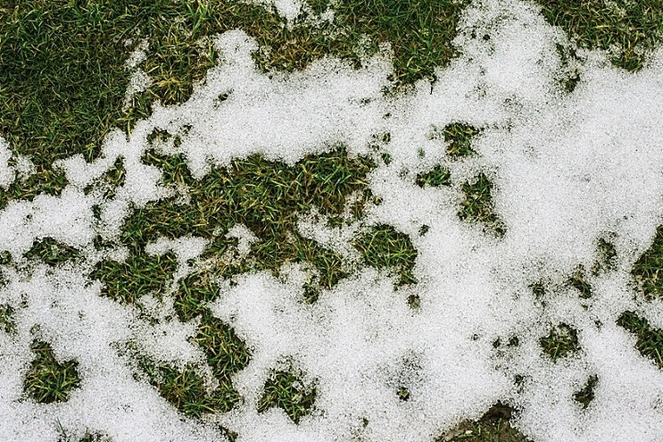 Prevent the Effects of Snow and Ice on your Facility’s Turf and Trees