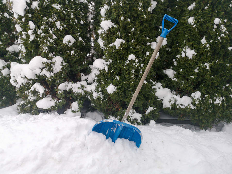 Six Eco-Friendly Snow Removal Options for Your Home