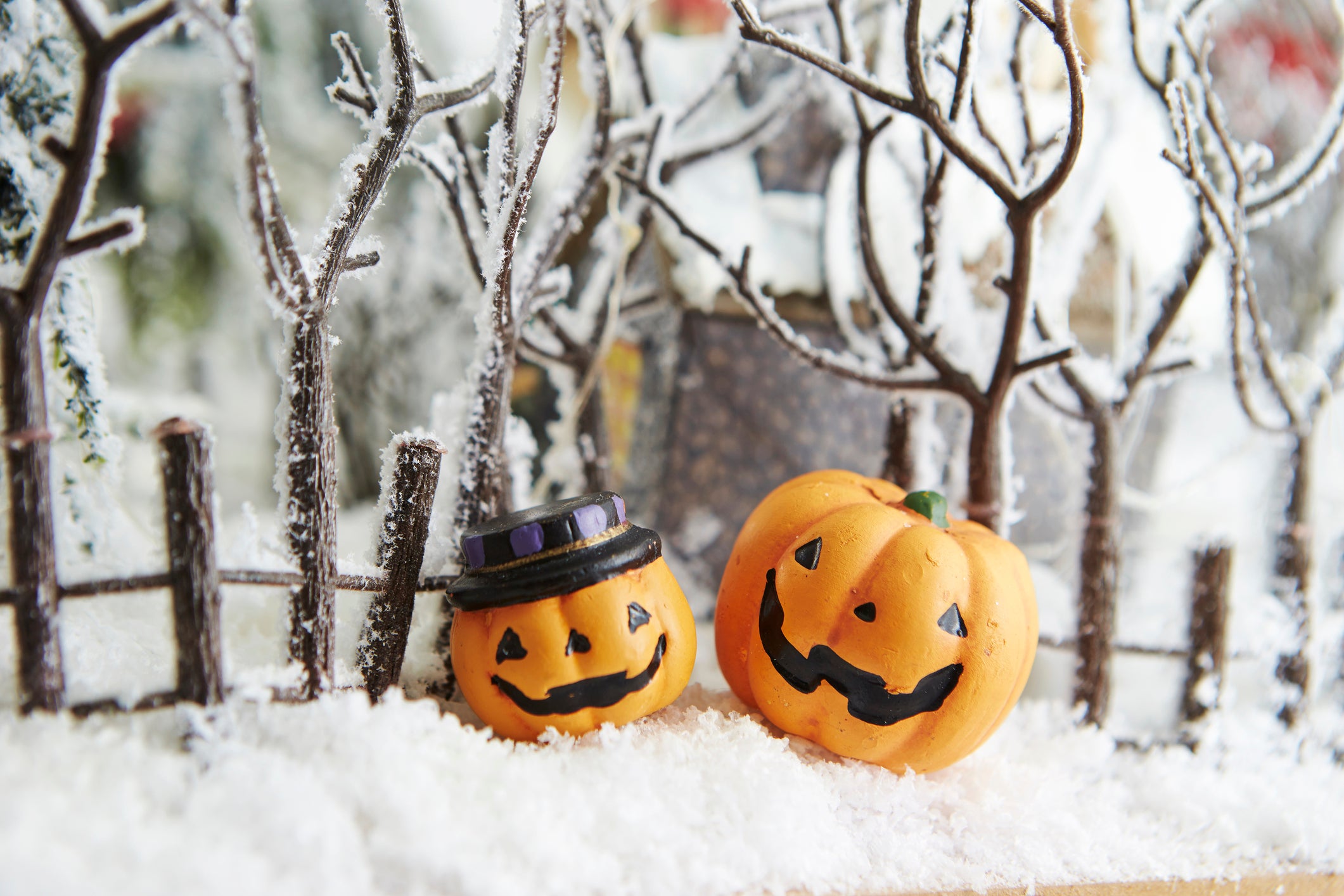 A pair of jack-o-lanterns sit in a pile of snow with snowy trees in the background