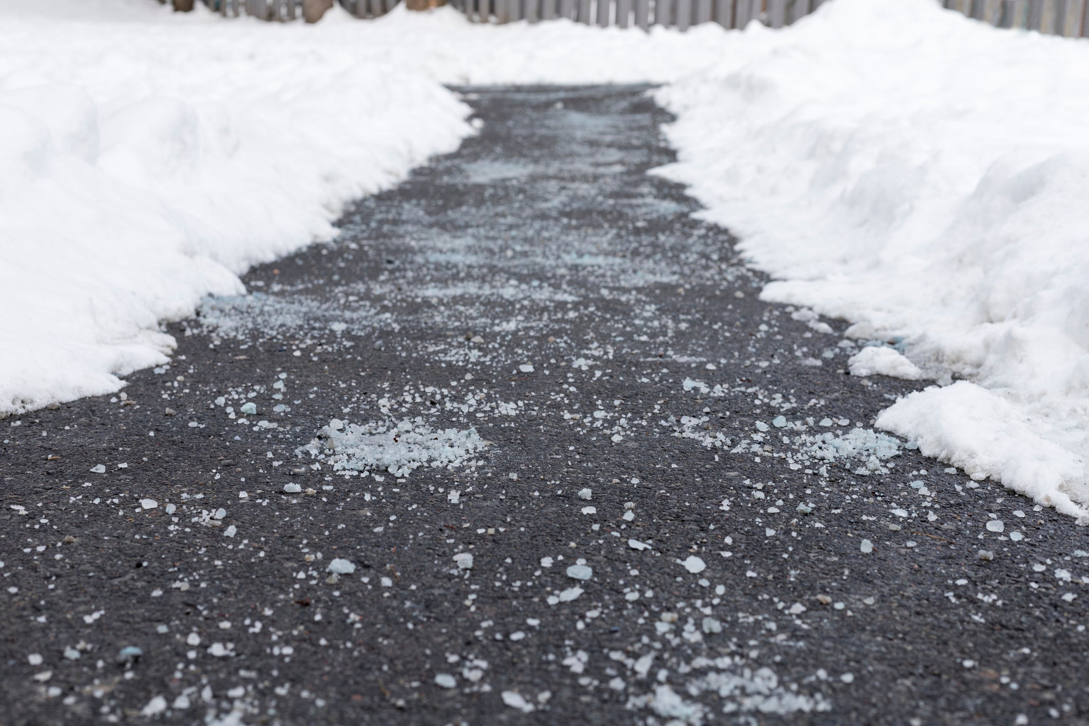 When to Salt a Sidewalk: Timing and Techniques for Winter Safety