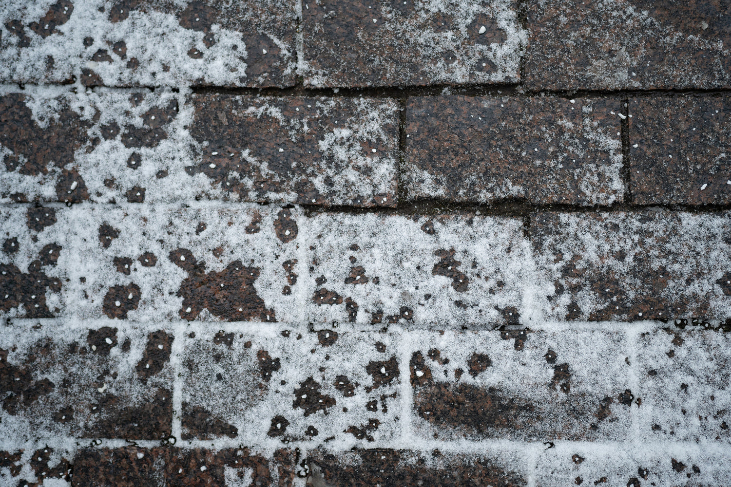 Sidewalk Salt: How Effective Is It for Businesses?