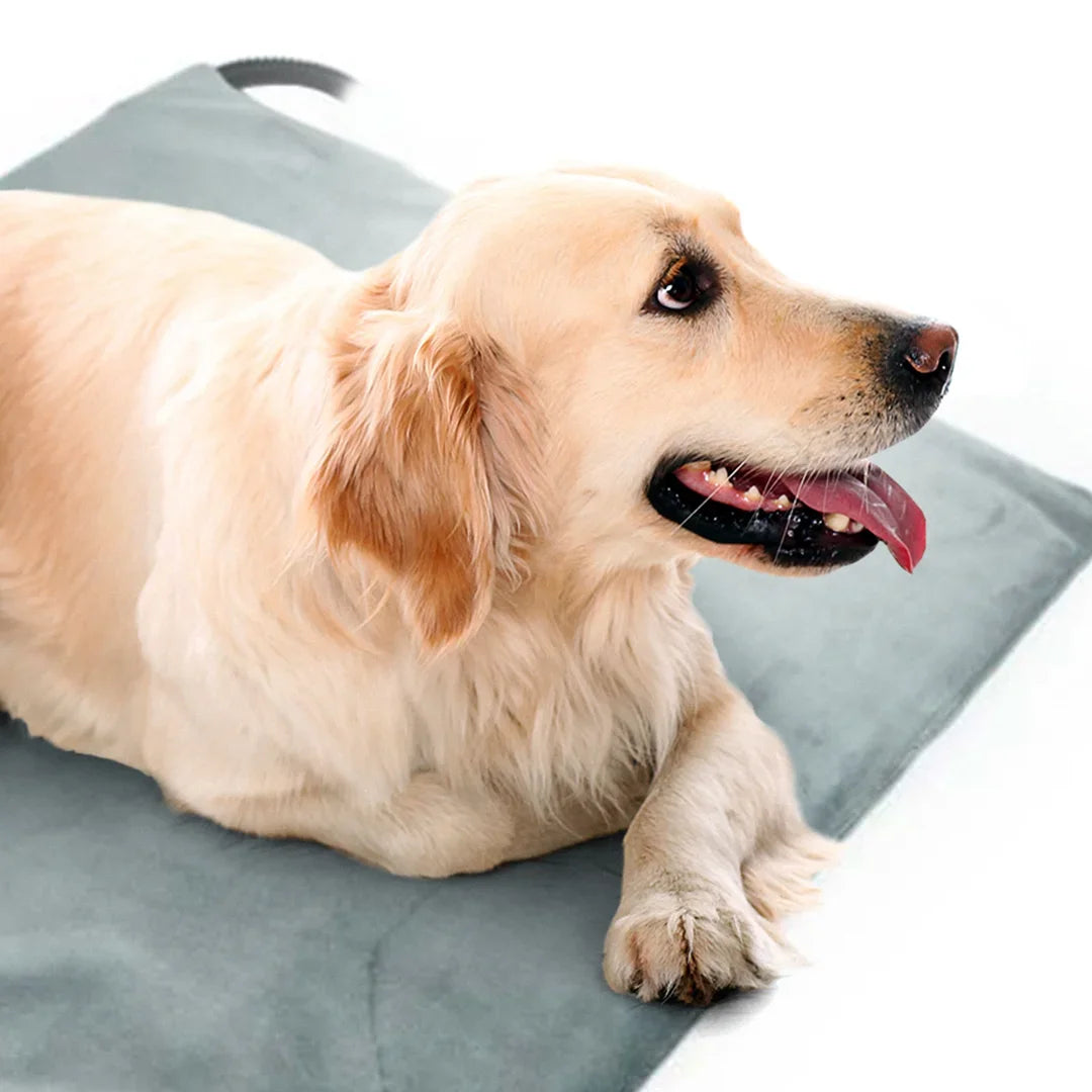 Heated Pet Mat for Cats and Dogs