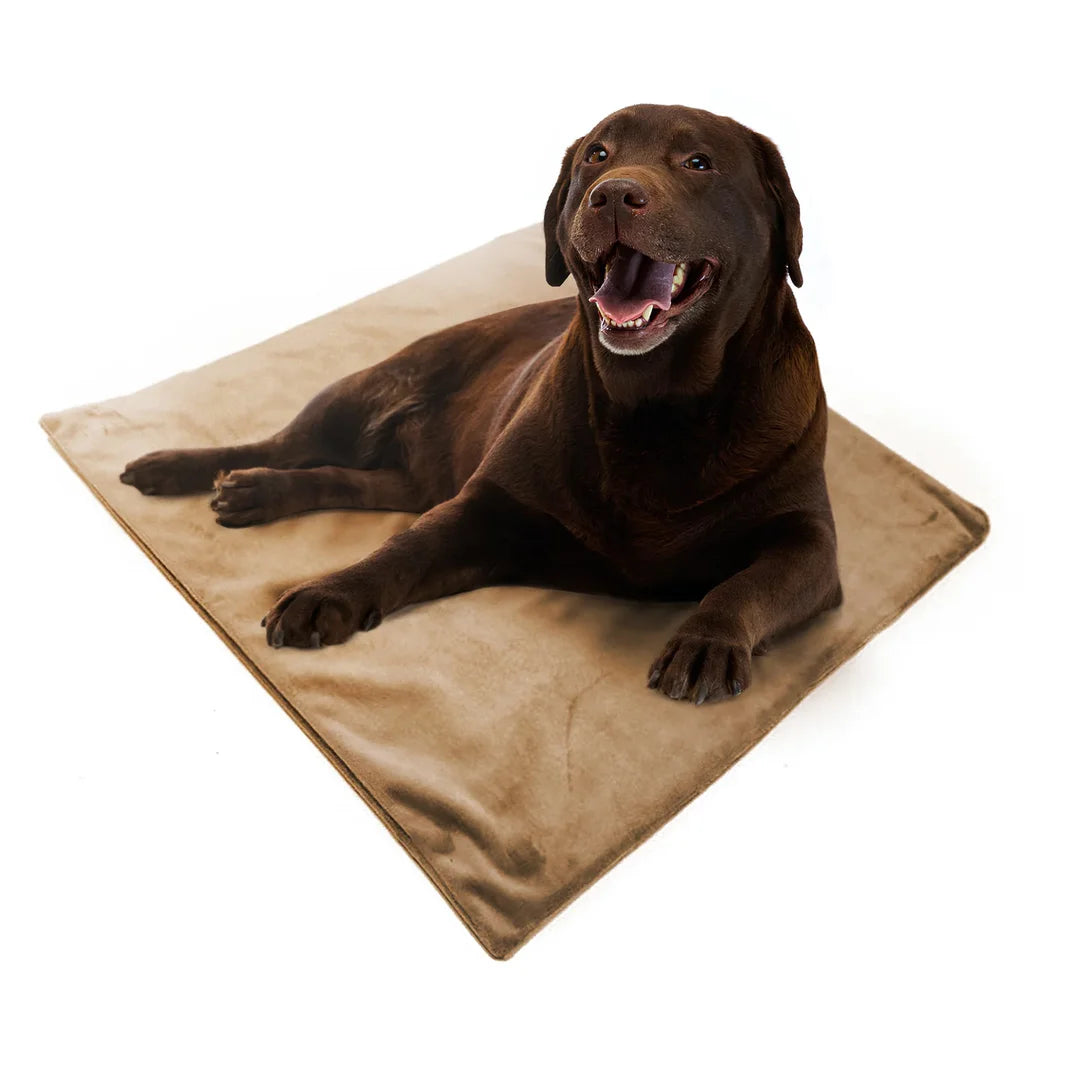 Heated Pet Mat for Cats and Dogs