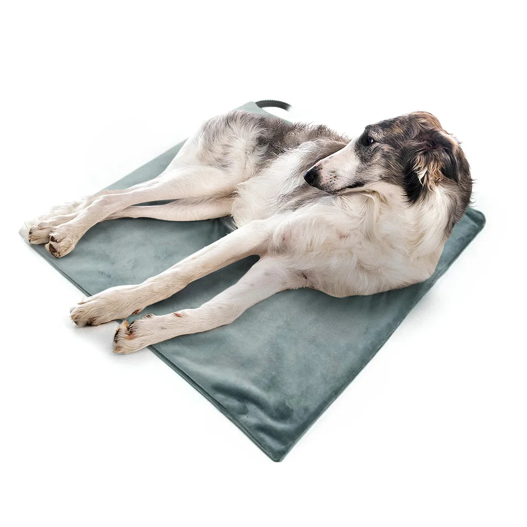 Heated Pet Mat for Cats and Dogs